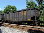 CSX 305225 (2)